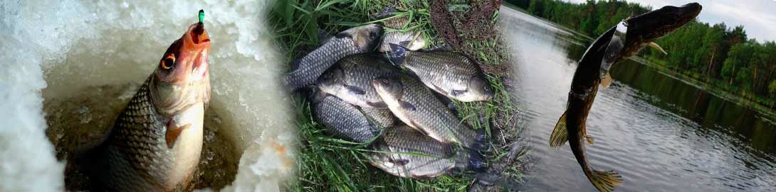 Рыболовный сайт России.